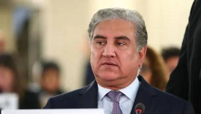Shah Mehmood Qureshi,OIC,Arab League,palestine