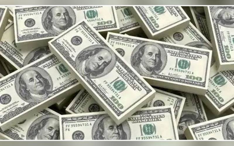 امریکا میں ایک خاتون نے کورونا ویکسین لگوانے پر دس لاکھ ڈالر کا انعام جیت لیا