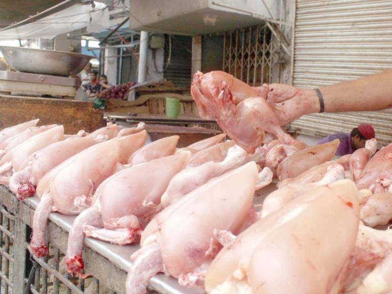 Bird flu, Global pandemic, deadly virus, Pakistan, NCOC, lockdown