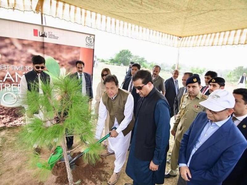 وزیراعظم نے بلین ٹری منصوبہ مکمل کرنے کیلئے عوام سے تعاون مانگ لیا