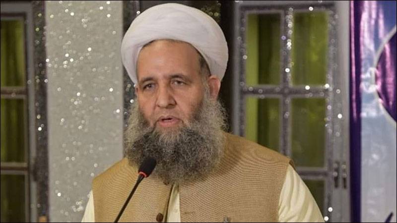 سیرت النبی ﷺ کو بطور مضمون نصاب میں شامل کیا جائے گا، پیر نور الحق قادری