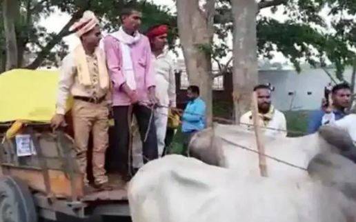 دلہا بیل گاڑی پر بارات لےگیا 