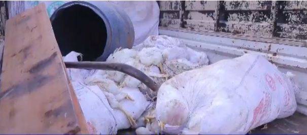 مردہ مرغیوں کا گوشت کھلانے والے دوافراد گرفتار 