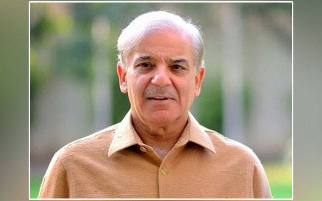 Shehbaz Sharif, new formula, representation, immigrants, elections, Pakistan, PTI, PPP