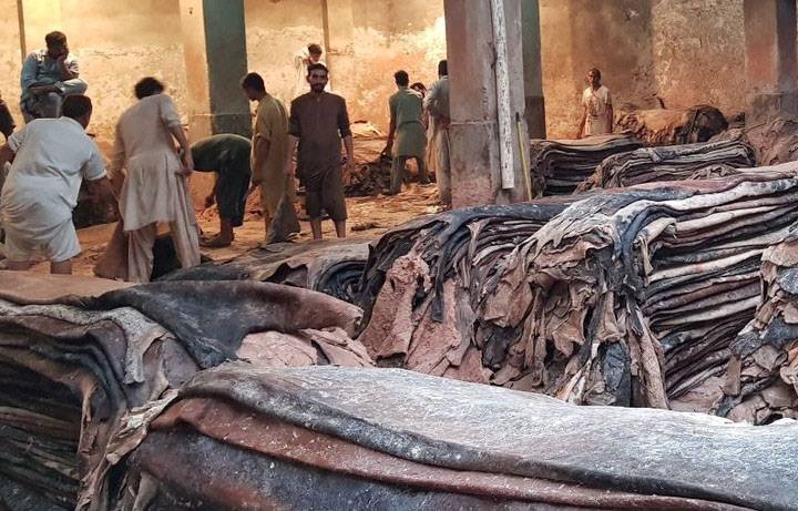 سندھ حکومت کیجانب سے عید قرباں پر کھالیں جمع کرنے کیلئے ضابطہ اخلاق جاری