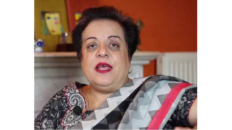 انسداد گھریلو تشدد بل مردوں پر بھی لاگو ہو گا، شیریں مزاری
