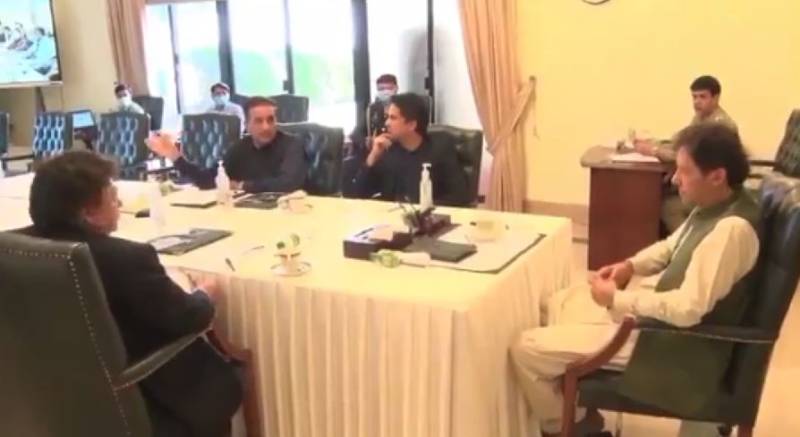 وزیر اعظم نے شجرکاری مہم میں ٹائیگر فورس کی مدد لینے کی ہدایت کردی