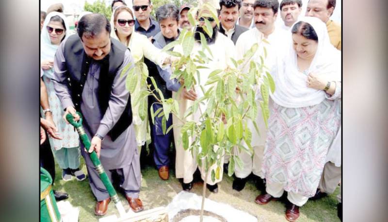 PTI government, Plant for Punjab Day, Prime Minister, Imran Khan, Billion Tree Tsunami Program