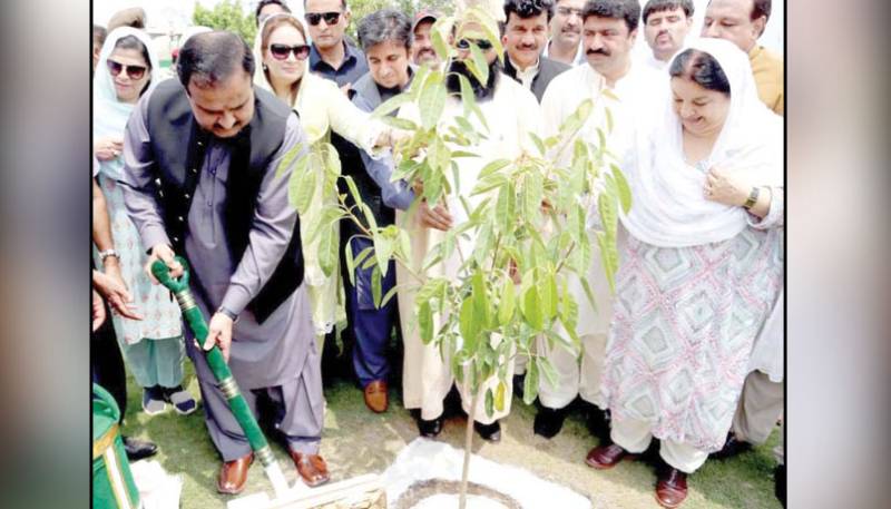 PTI government, Plant for Punjab Day, Prime Minister, Imran Khan, Billion Tree Tsunami Program