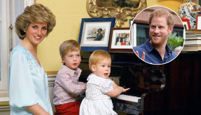 Prince Harry,Lady Diana,Prince William,Prince Harry Writing Book