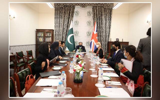 Pakistani delegation, Shafqat Mahmood, London, British Education Minister