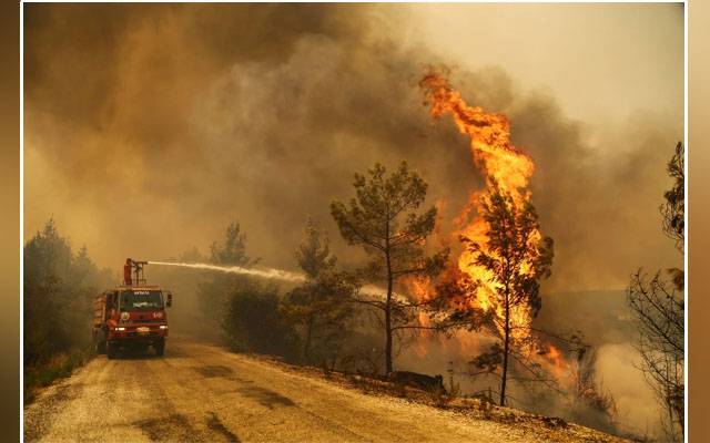 Seven people, wildfires, Turkey, evacuation, villages, hotels, President Tayyip Erdogan