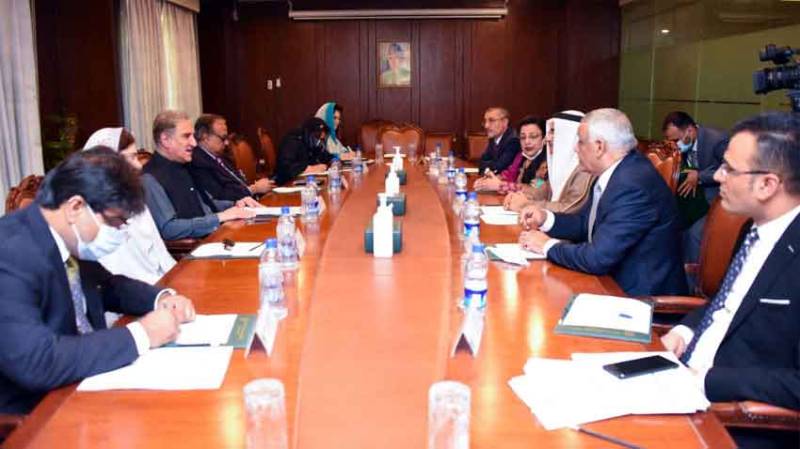 پاکستان، فلسطین اور کشمیر کے مسئلوں کا پرامن حل کا خواہاں ہے، شاہ محمود قریشی