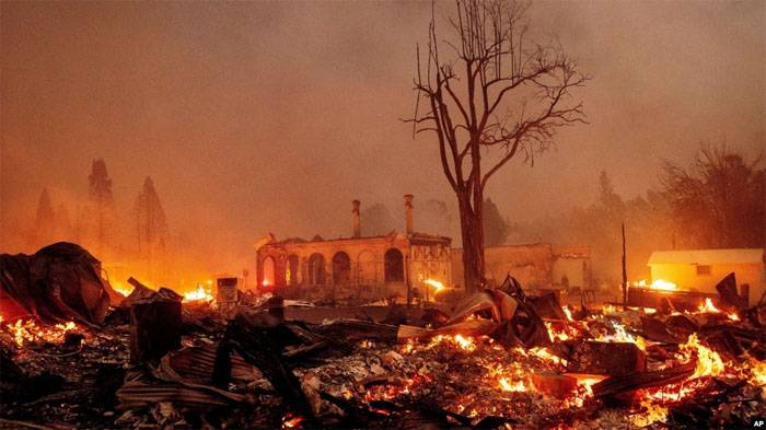 Turkey Jungle Burn,Wildfire,America,Turkey,Greece