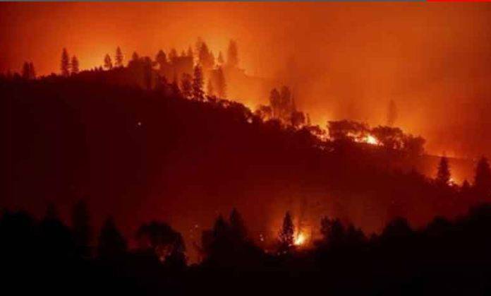 امریکی ریاست کیلی فورنیا کے جنگلات میں لگنے والی آگ کو دنیا کی دوسری بڑی آتشزدگی قرار دے دیا گیا