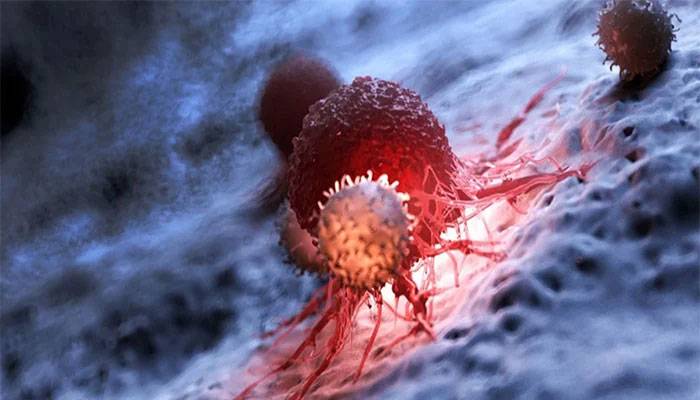 Deadly Corona virus continues in Pakistan, 75 more people lost their lives