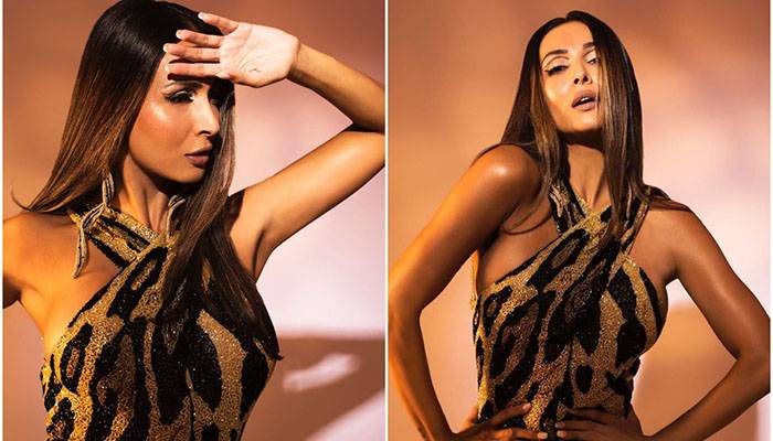 Malaika Arora Bollywood,Bold Photoshoot