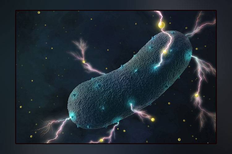 Discovery of electricity-generating bacteria inside the human body
