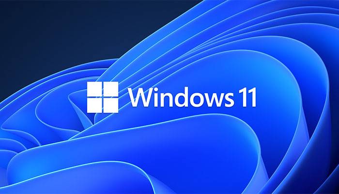 Windows 10,Windows 11,Microsoft