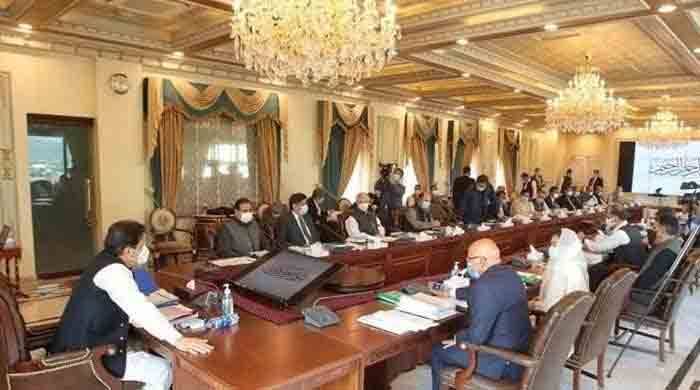مشترکہ مفادات کونسل نے بجلی پیداوار کے طویل مدتی پلان کی منظوری دیدی