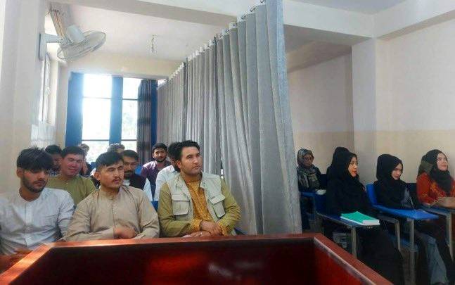 افغانستان میں تعلیمی سلسلے کا دوبارہ آغاز، کلاس روم میں طلبہ و طالبات کے درمیان پردے کی تصویر وائرل
