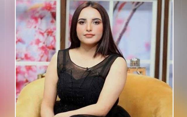 Tiktok star, Hareem Shah, June, marriage, PPP MPA