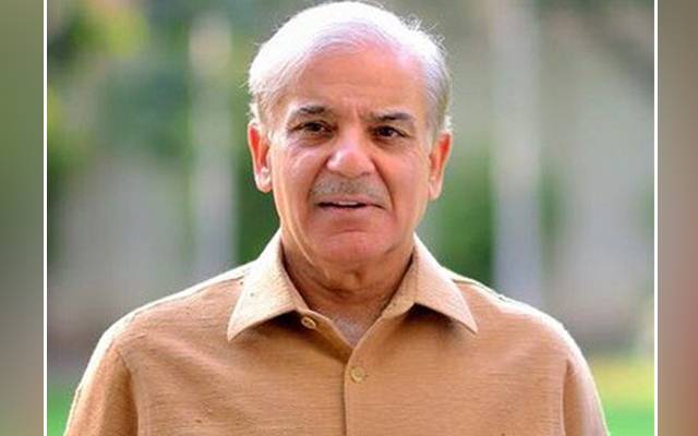 Dengue, fever, serious threat, Punjab, Shehbaz Sharif, PTI government