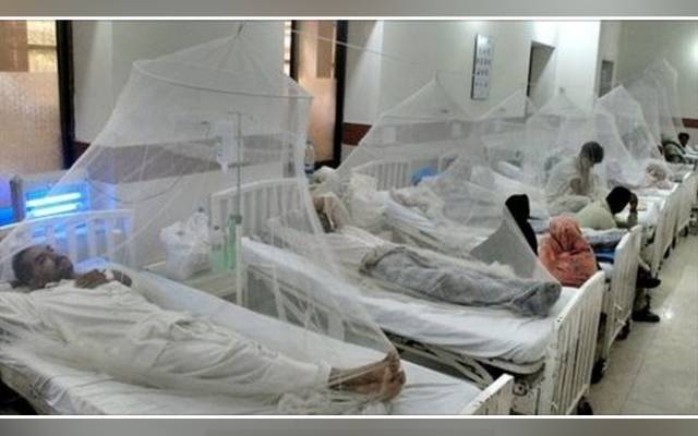 Dengue patients, Pakistan, daily basis, PTI government, NCOC