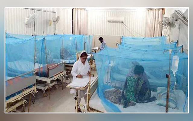 Dengue fever, Pakistan, patients, death, PTI government
