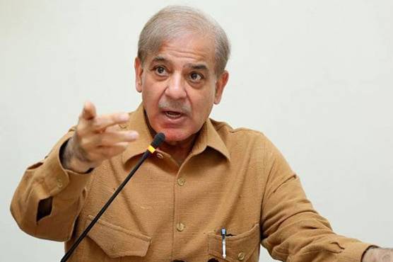 عوام کو لائینوں میں لگے دیکھ کر لوگ پرانے پاکستان کو یاد کررہے ہیں ، شہبازشریف 