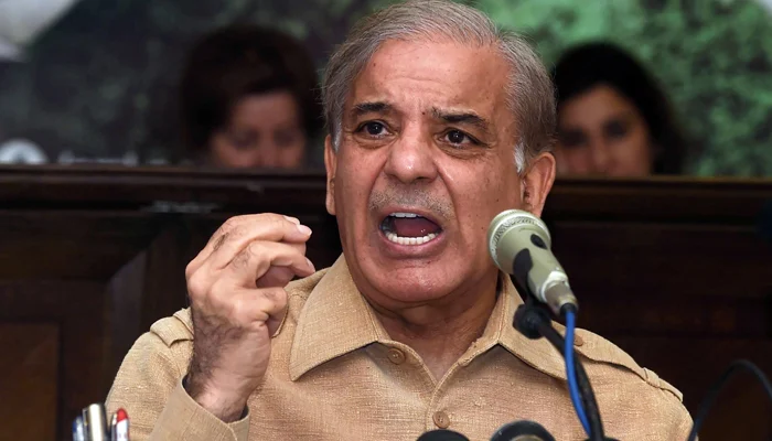حکومت عالمی منڈی میں تیل کی قیمتوں کا عوام کوفائدہ دے، شہباز شریف