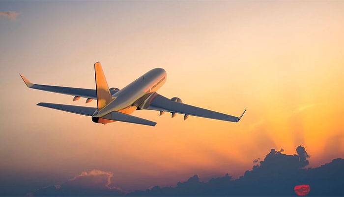 PIA Licence, Dubai Fly,