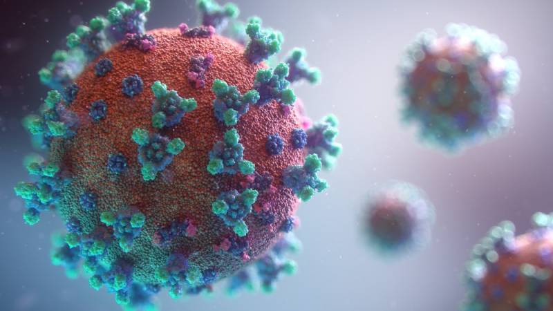 کورونا وائرس سے مزید 10 افراد جاں بحق ، 310 نئے کیس سامنے آگئے 