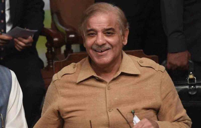  نواز شریف کی واپسی نہ ہونے پر حکومت کا شہباز شریف کیخلاف عدالت جانے کا فیصلہ