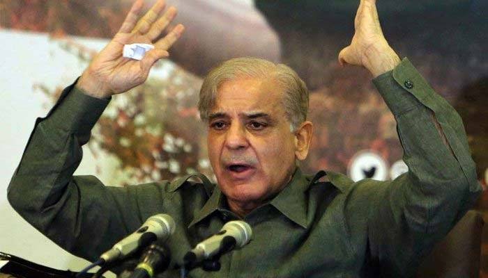  شہباز شریف کی پی ٹی آئی حکومت پر شدید تنقید