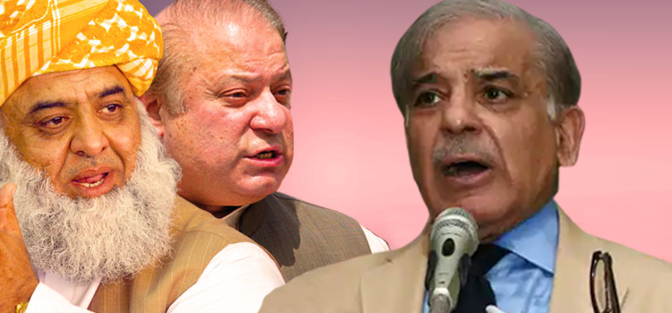 پیپلز پارٹی کی قیادت سے ملاقات، شہباز شریف کا نواز شریف اور فضل الرحمان کو فون