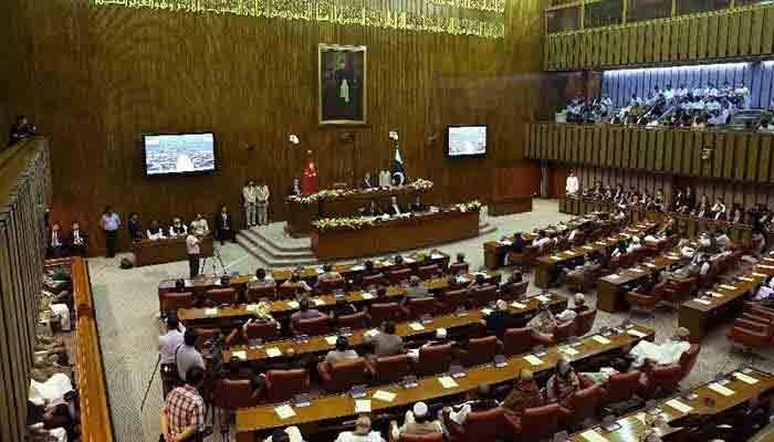 سینیٹ نے بچوں کو ماں کے حوالے کرنے کا بل منظور کر لیا