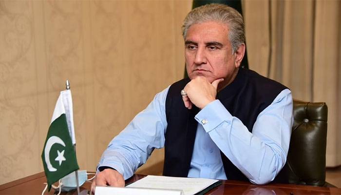 Shah Mahmood Qureshi, FO, UNO, Security Council