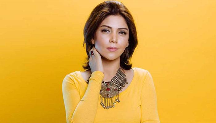 hadiqa kiani, Pakistani Singer, First Merriage