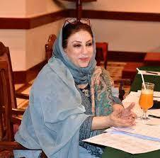 پی ٹی آئی والے جھوٹ بول رہے ہیں، عمران خان کو کسی صورت ووٹ نہیں دوں گی: روبینہ عرفان 