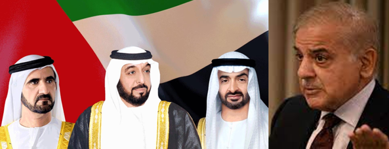 متحدہ عرب امارات  کی شہباز شریف کو وزیراعظم منتخب ہونے پر مبارکباد