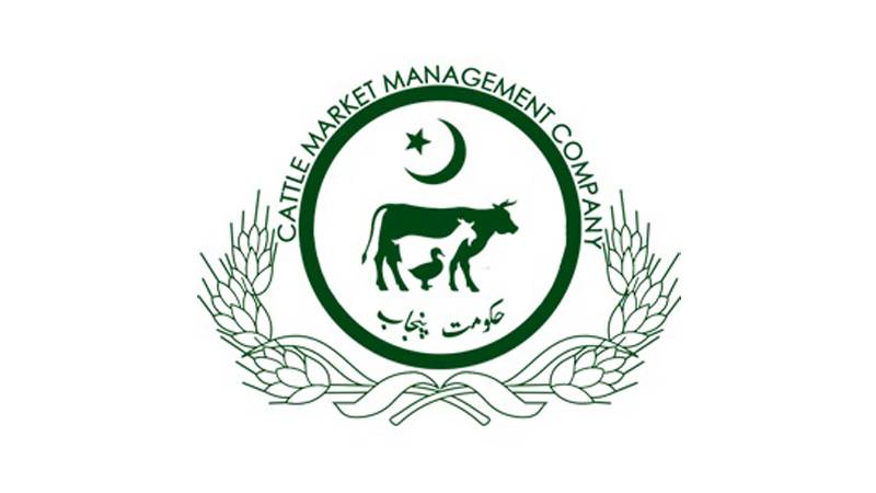پنجاب کیٹل مارکیٹ مینجمنٹ اینڈ ڈویلپمنٹ کمپنی سے متعلق خبر کی تردید 