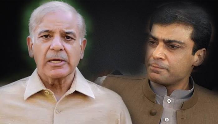 پیپلزپارٹی نےحمزہ ، شہباز شریف کو بڑی مشکل میں ڈال دیا 