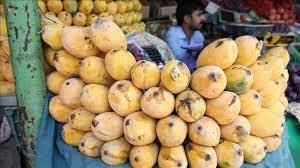 موسمیاتی اثرات کے باعث آم کی پیداوار متاثر