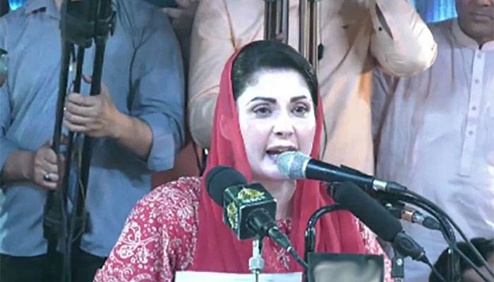 اگر نواز شریف حکومت چھوڑتا ہے تو کیا دو تہائی اکثریت دو گے ؟مریم نواز 