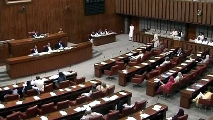 پیٹرولیم مصنوعات کی قیمتوں میں اضافے کیخلاف سینیٹ میں احتجاج