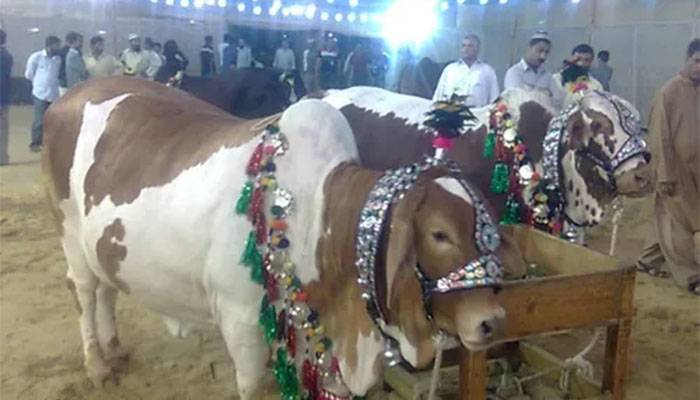 عید الاضحی کب ہو گی؟ماہرین فلکیات نے تاریخ کی پیشگوئی کر دی 