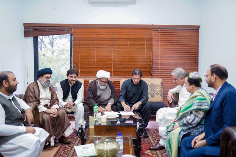 پی ٹی آئی اور ایم ڈبلیو ایم کے درمیان معاہدہ ، مل کر جدوجہد پر اتفاق 