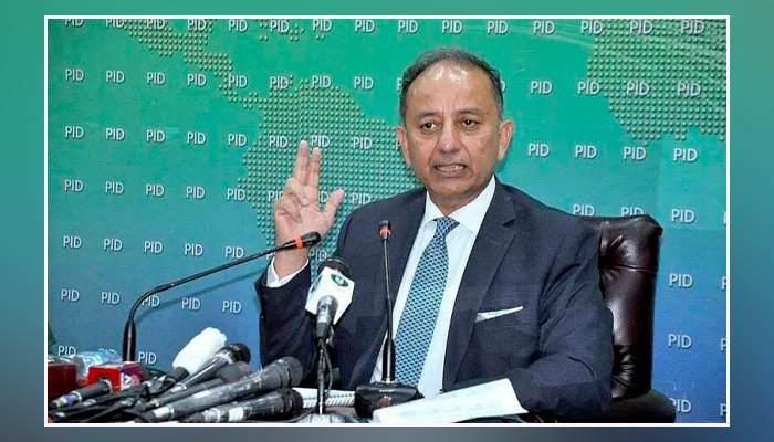 ملک کے 50 فیصد غریب طبقے کو سستی گیس اور بجلی فراہم فراہم کریں گے: مصدق ملک