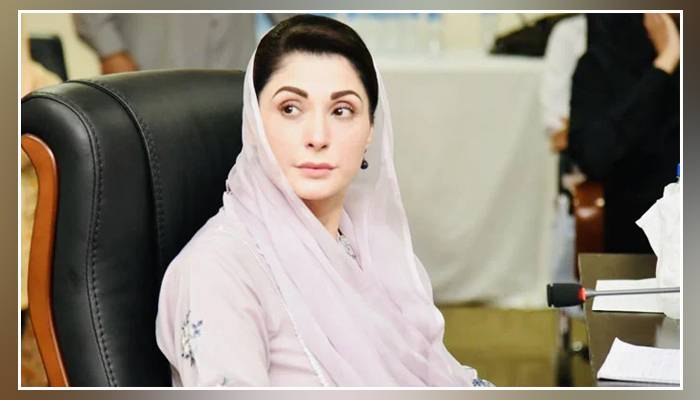 مسلم لیگ ن کی نائب صدر مریم نواز کو کورونا ہو گیا